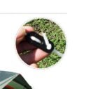 Tent 4 People To Build A Double Deck Family Outdoor Camping Travel Tent - Image 7